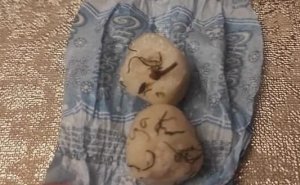 Bakıda şagirdlərə şəhid ehsanı adı ilə narkotik paylanılır?
