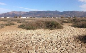 Kaliforniyada quraqlıq son iki ildə azı 3 milyard dollarlıq məhsul itkisinə səbəb oldu