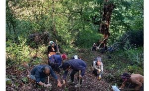 Meşədə kəllə sümüyü tapıldı, 7 il sonra... - ŞOK HADİSƏ