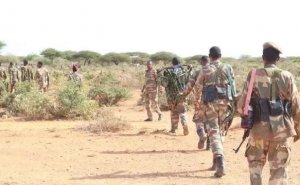 Somali Prezidenti söz verdi - İrimiqyaslı antiterror axtarışları başladı
