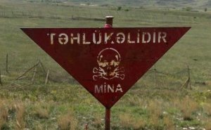 Daha 2522 hektar ərazi minadan təmizləndi