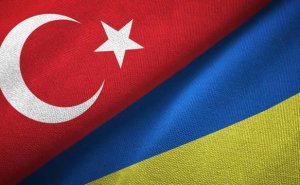 Türkiyənin üzərinə götürdüyü vasitəçilik vəzifəsi çox əhəmiyyətlidir - Ukrayna ombudsmanı
