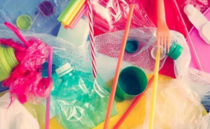 Plastik şüşələrin insan həyatına TƏSİRİ