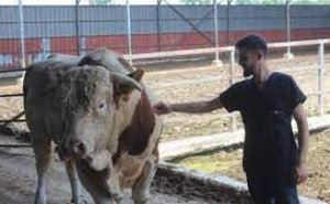 Hamı görüb təəccüblənir: Avtomobil qiymətinədir... - VİDEO